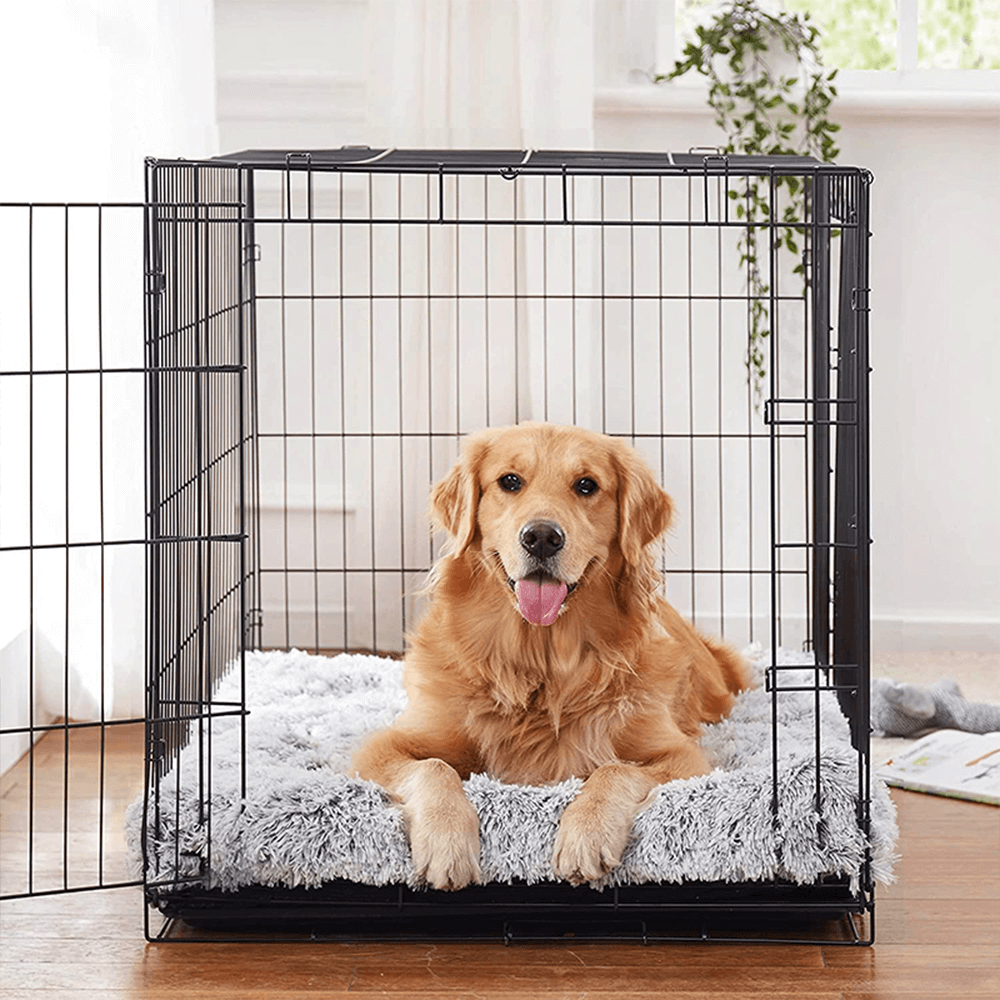 cama ergonómica para mascotas