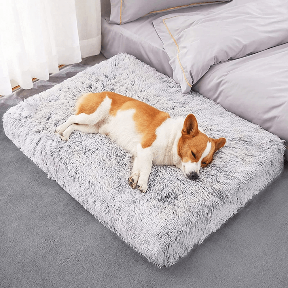 cama ergonómica para mascotas