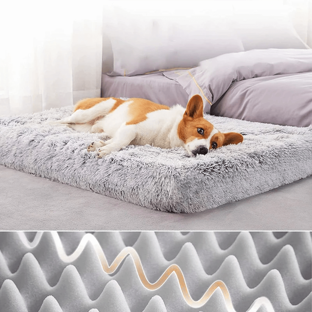 cama ergonómica para mascotas