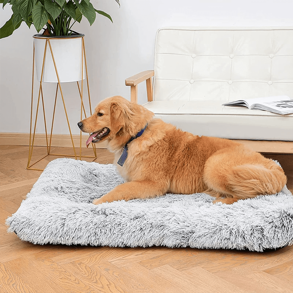 cama ergonómica para mascotas